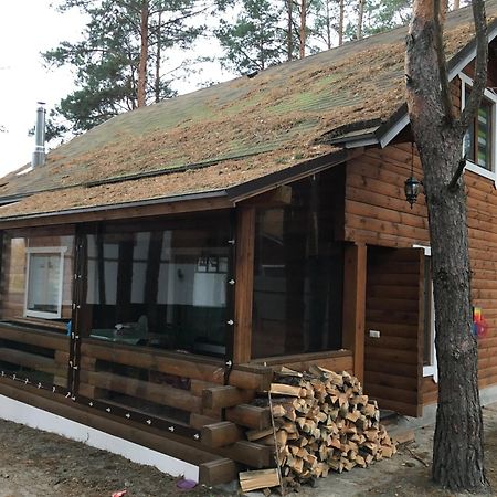 Ekodom Villa Voropayev Luaran gambar