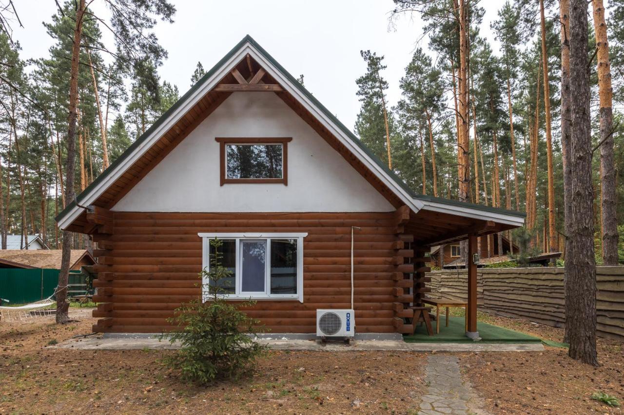 Ekodom Villa Voropayev Luaran gambar