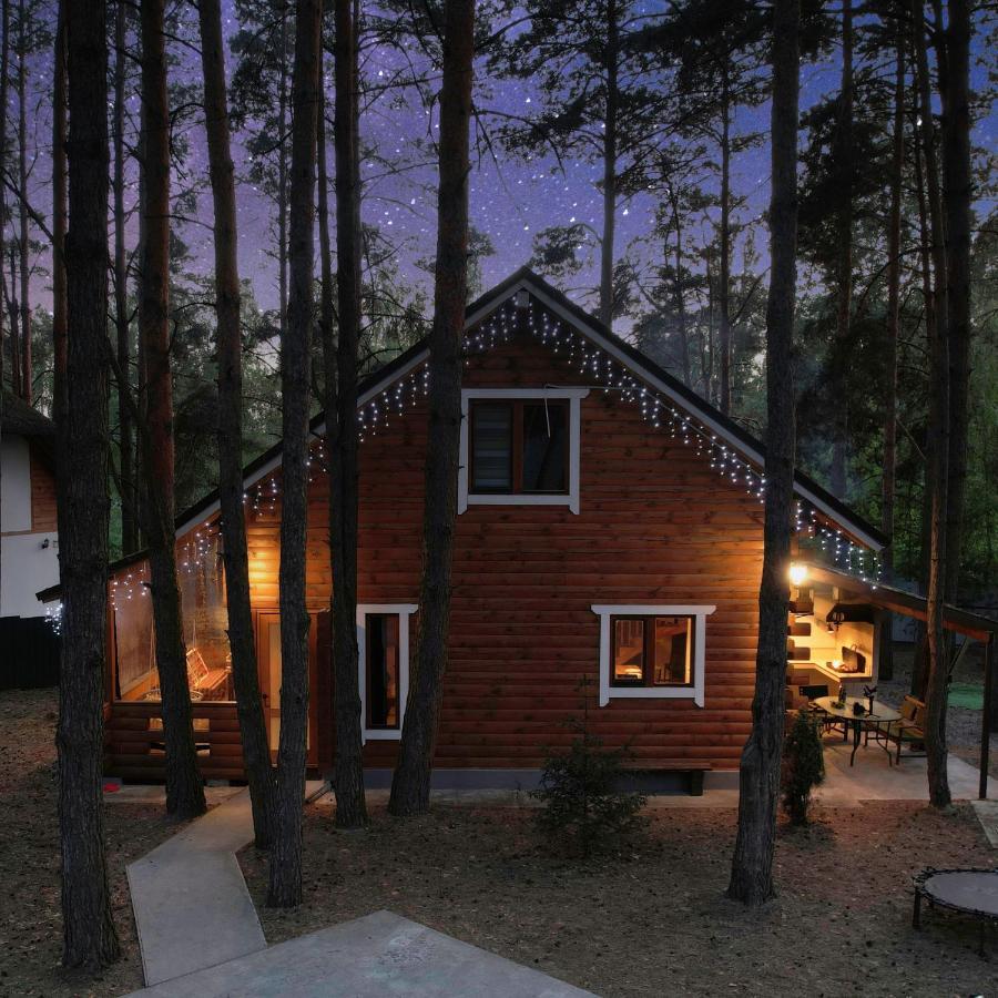 Ekodom Villa Voropayev Luaran gambar