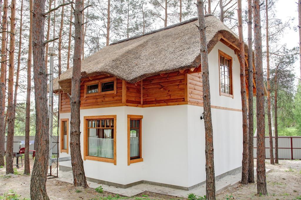 Ekodom Villa Voropayev Luaran gambar